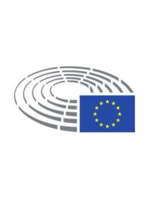 Európai delegáció: