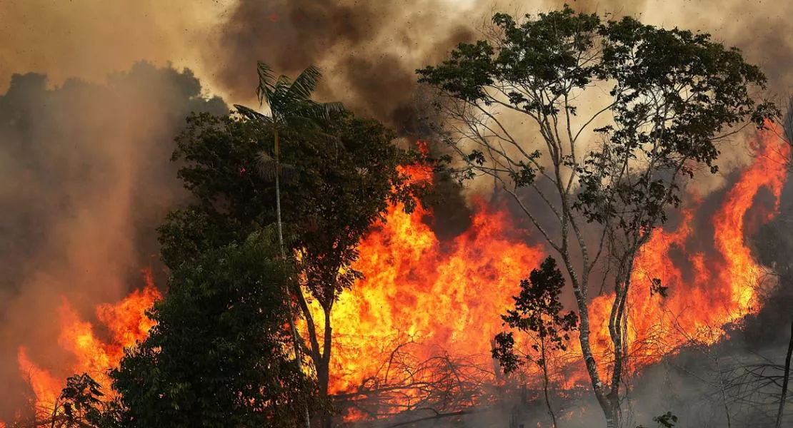 A DK az Európai Bizottsághoz fordul az amazóniai esőerdőket pusztító tűz miatt