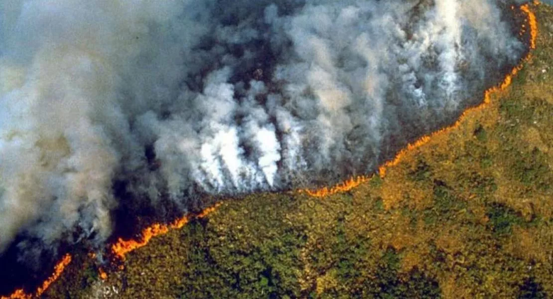 A DK már három hete levélben kérte Brazíliát az esőerdők védelmére