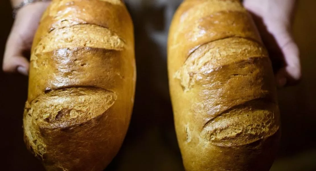 Brutálisan megdrágul a búza, megfizethetetlen lesz a kenyér a magyar családok számára
