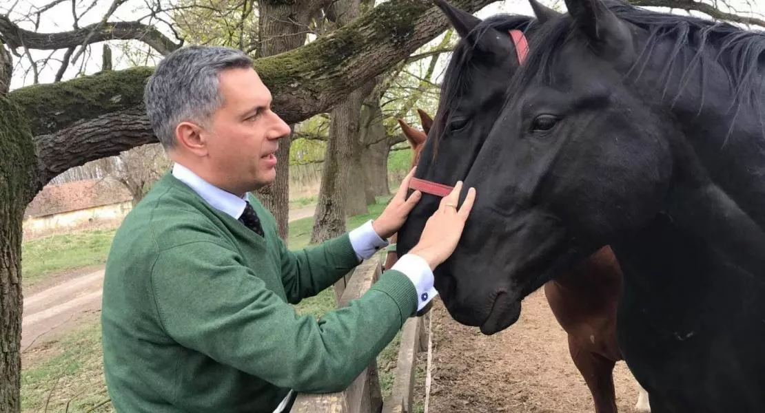 Mindenki jobban járna, ha Lázár inkább a lovaival foglalkozna és nem a vakcinákkal