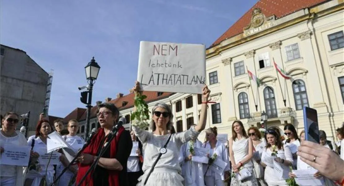 Nemes Gábor: A magyar kormány feladata lenne, hogy csökkentse az egyre nagyobb bérszakadékot férfiak és nők között