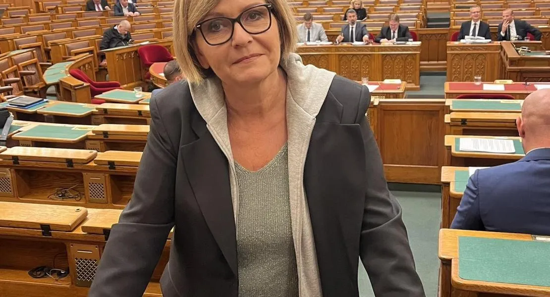 Összevonták a nyomozásokat „Zsolti bácsi”, a Zirzen Janka Gyermekotthon és a Szőlő utcai intézet volt igazgatójának ügyében