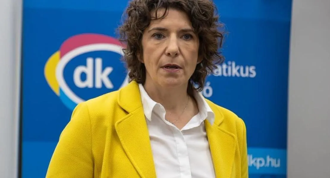 Dobrev Klára: Újabb áldozat szólalt meg a Szőlő utcában tapasztalt brutális bánásmódról